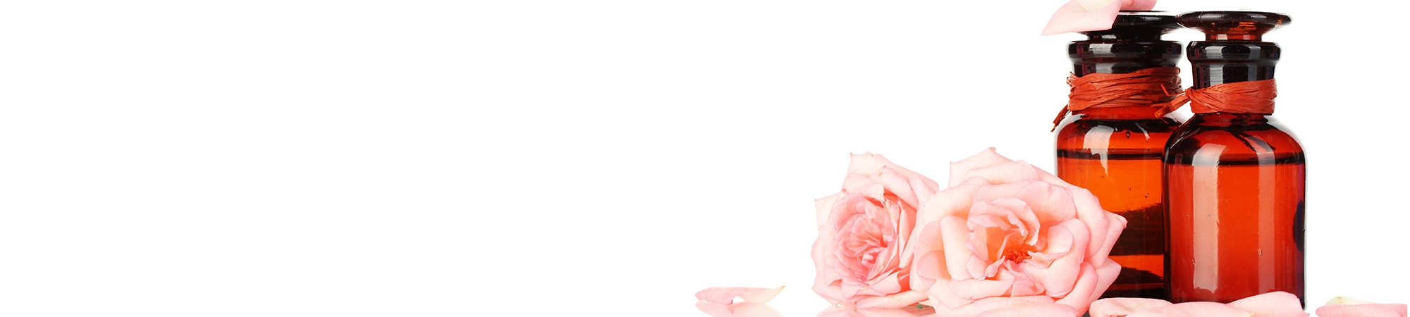 Aroma Basis